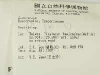 登錄號:F0007408藏品圖，第2張