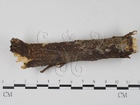 登錄號:F0007408藏品圖，第1張