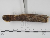 登錄號:F0007408藏品圖，第3張