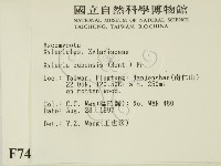 登錄號:F0007409藏品圖，第2張