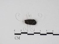 登錄號:F0007409藏品圖，第3張