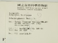 登錄號:F0007410藏品圖，第2張