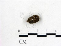 登錄號:F0007411藏品圖，第1張