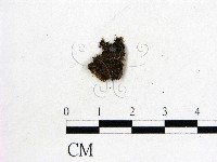 登錄號:F0007412藏品圖，第1張