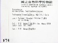 登錄號:F0007413藏品圖，第2張