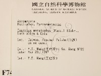 登錄號:F0007414藏品圖，第2張