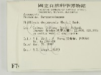 登錄號:F0007415藏品圖，第2張