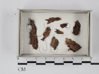 登錄號:F0007417藏品圖，第1張