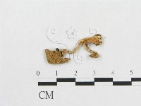 登錄號:F0007419藏品圖，第3張