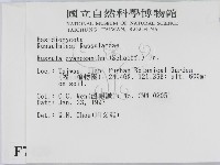 登錄號:F0007420藏品圖，第2張