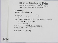 小菇屬藏品圖，第2張