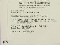 登錄號:F0007423藏品圖，第2張