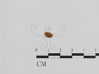 登錄號:F0007423藏品圖，第3張