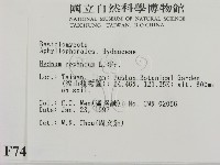 登錄號:F0007424藏品圖，第2張