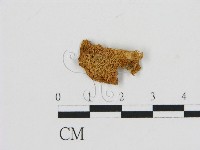 登錄號:F0007424藏品圖，第1張