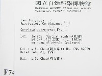 登錄號:F0007427藏品圖，第2張