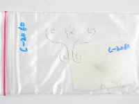 鬼傘屬藏品圖，第1張