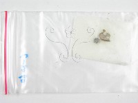 鬼傘屬藏品圖，第3張