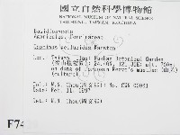 登錄號:F0007429藏品圖，第2張