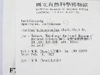 登錄號:F0007430藏品圖，第2張
