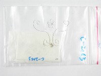 鬼傘屬藏品圖，第1張