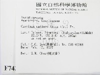 登錄號:F0007432藏品圖，第2張