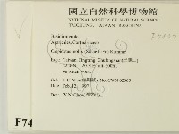 登錄號:F0007433藏品圖，第2張