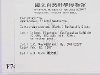 登錄號:F0007435藏品圖，第2張