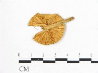 登錄號:F0007435藏品圖，第1張