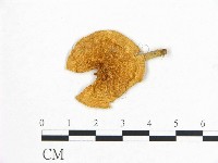 登錄號:F0007435藏品圖，第3張