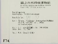 登錄號:F0007436藏品圖，第2張