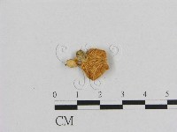 登錄號:F0007436藏品圖，第3張