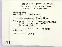 登錄號:F0007437藏品圖，第2張