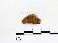 登錄號:F0007437藏品圖，第1張