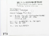 登錄號:F0007438藏品圖，第2張