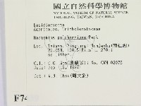 登錄號:F0007439藏品圖，第2張