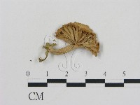 登錄號:F0007440藏品圖，第1張