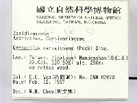 登錄號:F0007441藏品圖，第2張