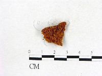 登錄號:F0007441藏品圖，第3張