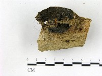 登錄號:F0007441藏品圖，第4張