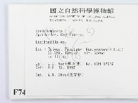 登錄號:F0007442藏品圖，第2張