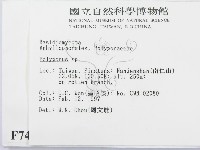 多孔菌屬藏品圖，第2張