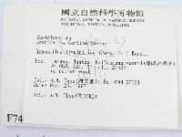 登錄號:F0007444藏品圖，第2張