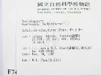 登錄號:F0007446藏品圖，第2張