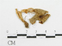 登錄號:F0007446藏品圖，第1張