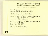 登錄號:F0007447藏品圖，第2張