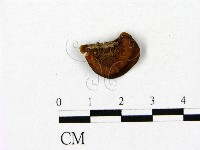 登錄號:F0007447藏品圖，第1張