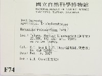 登錄號:F0007449藏品圖，第2張