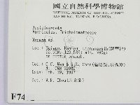 小菇屬藏品圖，第2張