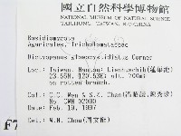 登錄號:F0007453藏品圖，第2張